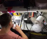 Сервисный центр Стилефон фото 3